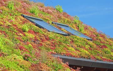 Lower Layham living roof systems